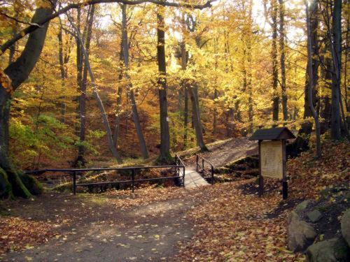 Kurpark Flair Hotel Im Ilsetal Ilsenburg Exteriör bild